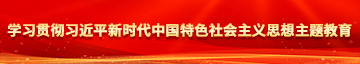 曰逼网站学习贯彻习近平新时代中国特色社会主义思想主题教育