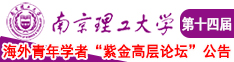 大鸡巴用力操死我吧啊啊啊视频南京理工大学第十四届海外青年学者紫金论坛诚邀海内外英才！